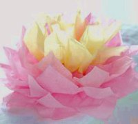 皱纹纸莲花的制作方法 莲花的折法