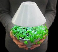 创意生态台灯花盆 帮我们创造绿色家居