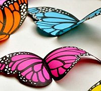 简单有趣的蝴蝶翅膀彩绘涂鸦手工