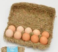 鸡蛋盒的创意 绿色环保的干草鸡蛋盒