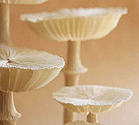 皱纹纸制作逼真的蘑菇 纸蘑菇制作教程