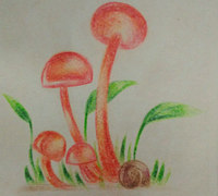 可爱的小蘑菇手绘教程