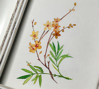 小清新植物水彩画手绘教程