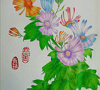 彩铅手绘花朵教程之小雏菊的画法